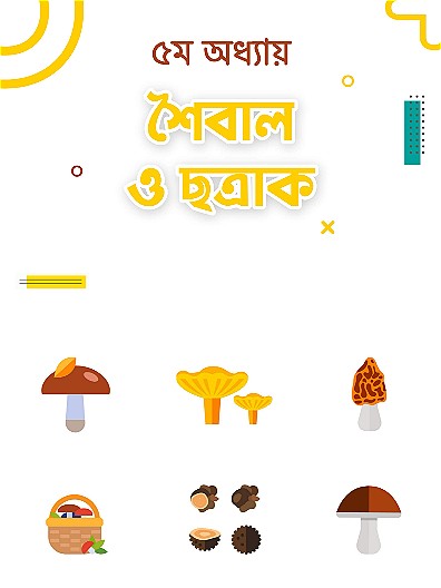 শৈবাল ও ছত্রাক